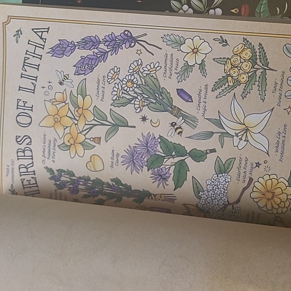 Set Of 2 Yule and Litha Solstice Books by Amy Cesari - Picture 6 of 7